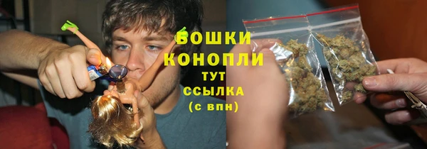 прущие крисы Белокуриха