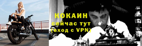 прущие крисы Белокуриха
