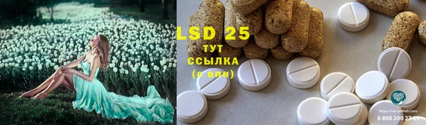PSILOCYBIN Богородск